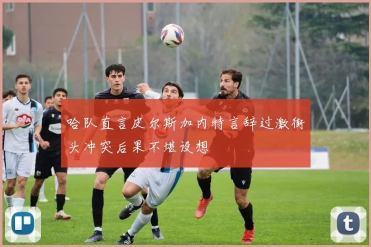哈队直言皮尔斯加内特言辞过激街头冲突后果不堪设想