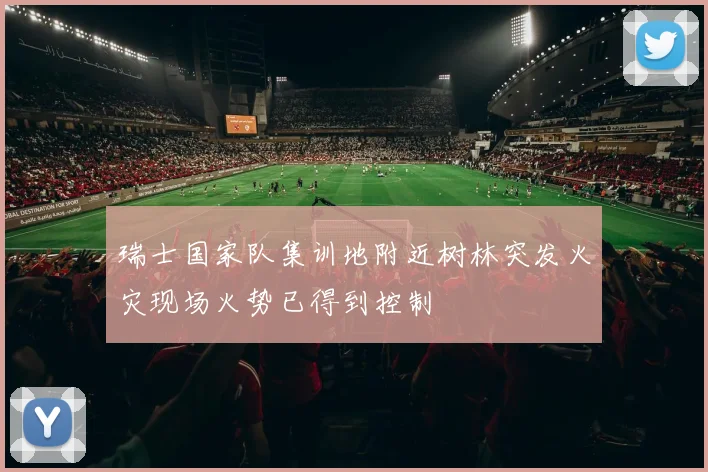 瑞士国家队集训地附近树林突发火灾现场火势已得到控制