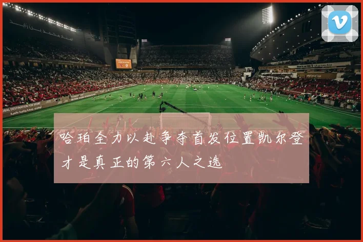 哈珀全力以赴争夺首发位置凯尔登才是真正的第六人之选