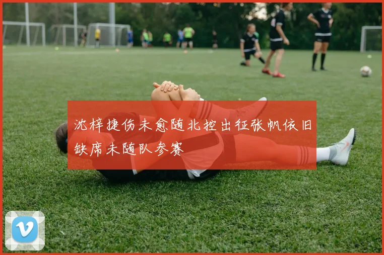 沈梓捷伤未愈随北控出征张帆依旧缺席未随队参赛